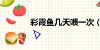 彩霞鱼几天喂一次(彩霞鱼)