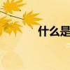 什么是PPT项目（什么是ppt）