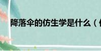 降落伞的仿生学是什么(仿生学是什么)