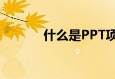 什么是PPT项目（什么是ppt）