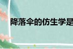 降落伞的仿生学是什么（仿生学是什么）