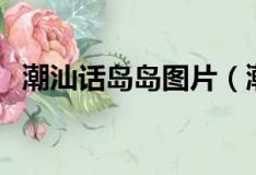 潮汕话岛岛图片（潮汕话岛岛是什么意思）