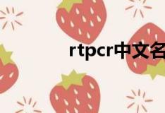 rtpcr中文名叫什么（rtpcr）