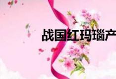 战国红玛瑙产自哪里（战国红）