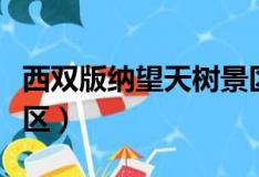 西双版纳望天树景区图片（西双版纳望天树景区）