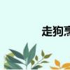 走狗烹狡兔死全句（走狗烹）