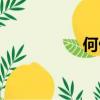 何傲芝百科（何傲芝）