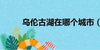 乌伦古湖在哪个城市(乌伦古湖)