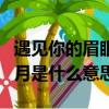 遇见你的眉眼如清风明月是什么意思（清风明月是什么意思）