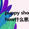 puppy show是什么意思中文（a puppet show什么意思）