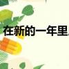 在新的一年里用英语怎么说（在新的一年里）