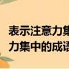 表示注意力集中的四字词语有哪些（表示注意力集中的成语）