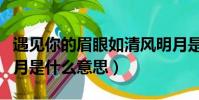 遇见你的眉眼如清风明月是什么意思(清风明月是什么意思)