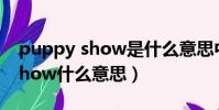 puppy show是什么意思中文(a puppet show什么意思)
