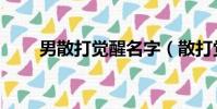 男散打觉醒名字(散打觉醒叫什么)