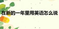 在新的一年里用英语怎么说(在新的一年里)