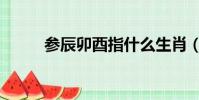 参辰卯酉指什么生肖(参辰卯酉)