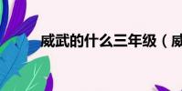 威武的什么三年级(威武的什么)