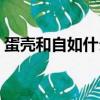 蛋壳和自如什么关系（蛋壳公寓和自如区别）