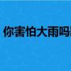你害怕大雨吗歌词简谱（你害怕大雨吗歌词）