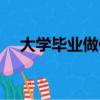 大学毕业做什么赚钱（大学毕业做什么）