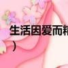 生活因爱而精彩作文500字（生活因爱而精彩）