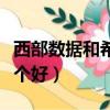 西部数据和希捷哪个好用（西部数据和希捷哪个好）