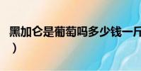 黑加仑是葡萄吗多少钱一斤(黑加仑是葡萄吗)