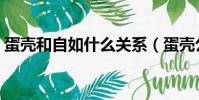 蛋壳和自如什么关系(蛋壳公寓和自如区别)