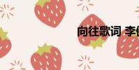 向往歌词 李健