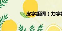 皮字组词(力字组词)