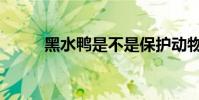 黑水鸭是不是保护动物(黑水鸭)