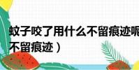 蚊子咬了用什么不留痕迹呢(蚊子咬了用什么不留痕迹)