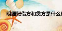 明细账借方和贷方是什么意思(明细账)