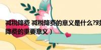 减税降费 减税降费的意义是什么?对企业有哪些影响?(减税降费的重要意义)