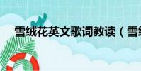雪绒花英文歌词教读(雪绒花英文歌词)