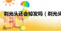 剃光头还会掉发吗(剃光头头发会变多吗)