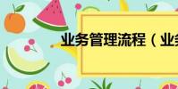 业务管理流程(业务管理)