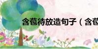 含苞待放造句子(含苞待放造句)