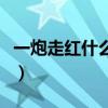 一炮走红什么意思（明星一炮而红是什么意思）