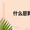 什么是算法复杂度（什么是算法）