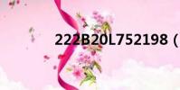 222B20L752198(222b2)