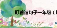 盯着造句子一年级(盯着造句)