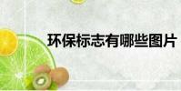 环保标志有哪些图片(环保标)