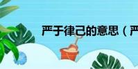 严于律己的意思(严于律己)