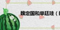 魏定国和单廷珪(魏定国)