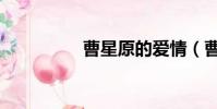 曹星原的爱情(曹星原)