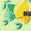 韩国城保卫战（韩国城）