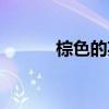 棕色的英语音标（棕色的英语）