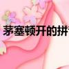 茅塞顿开的拼音怎么读音（茅塞顿开的拼音）